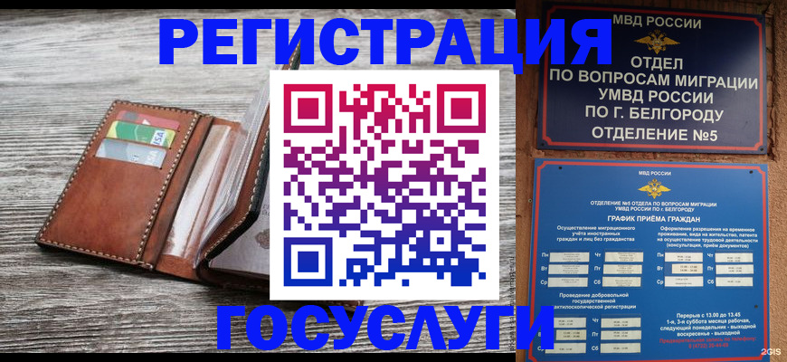 временная регистрация гарантия в Электрогорске